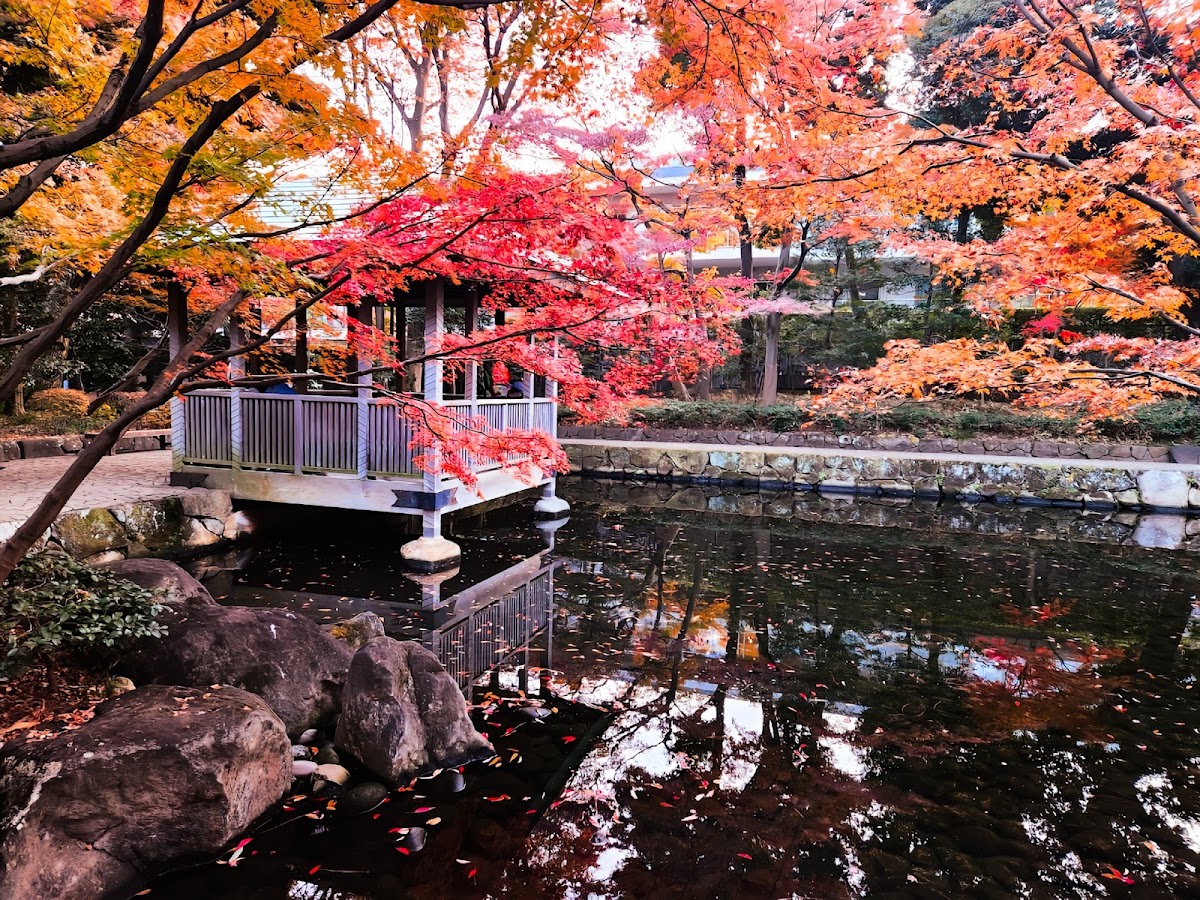 Otaguro Park photo 6