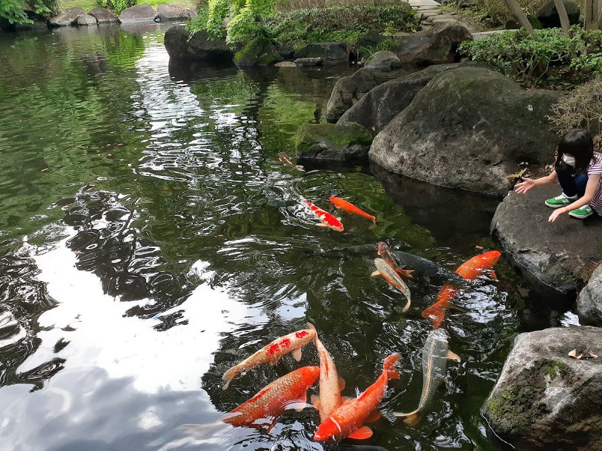Otaguro Park photo 8