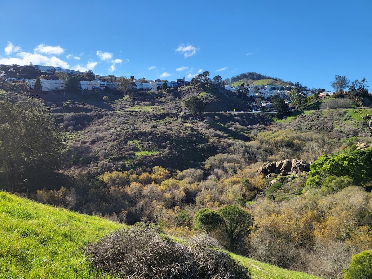 Glen Canyon Park photo 2
