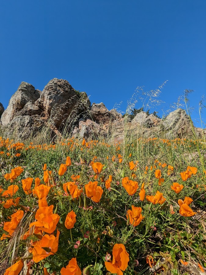 Glen Canyon Park photo 3