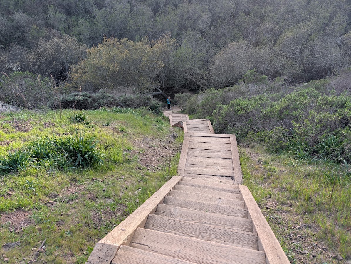 Glen Canyon Park photo 5