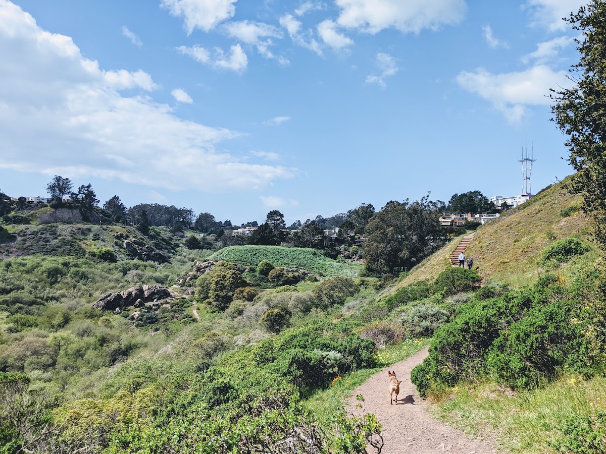 Glen Canyon Park photo 7