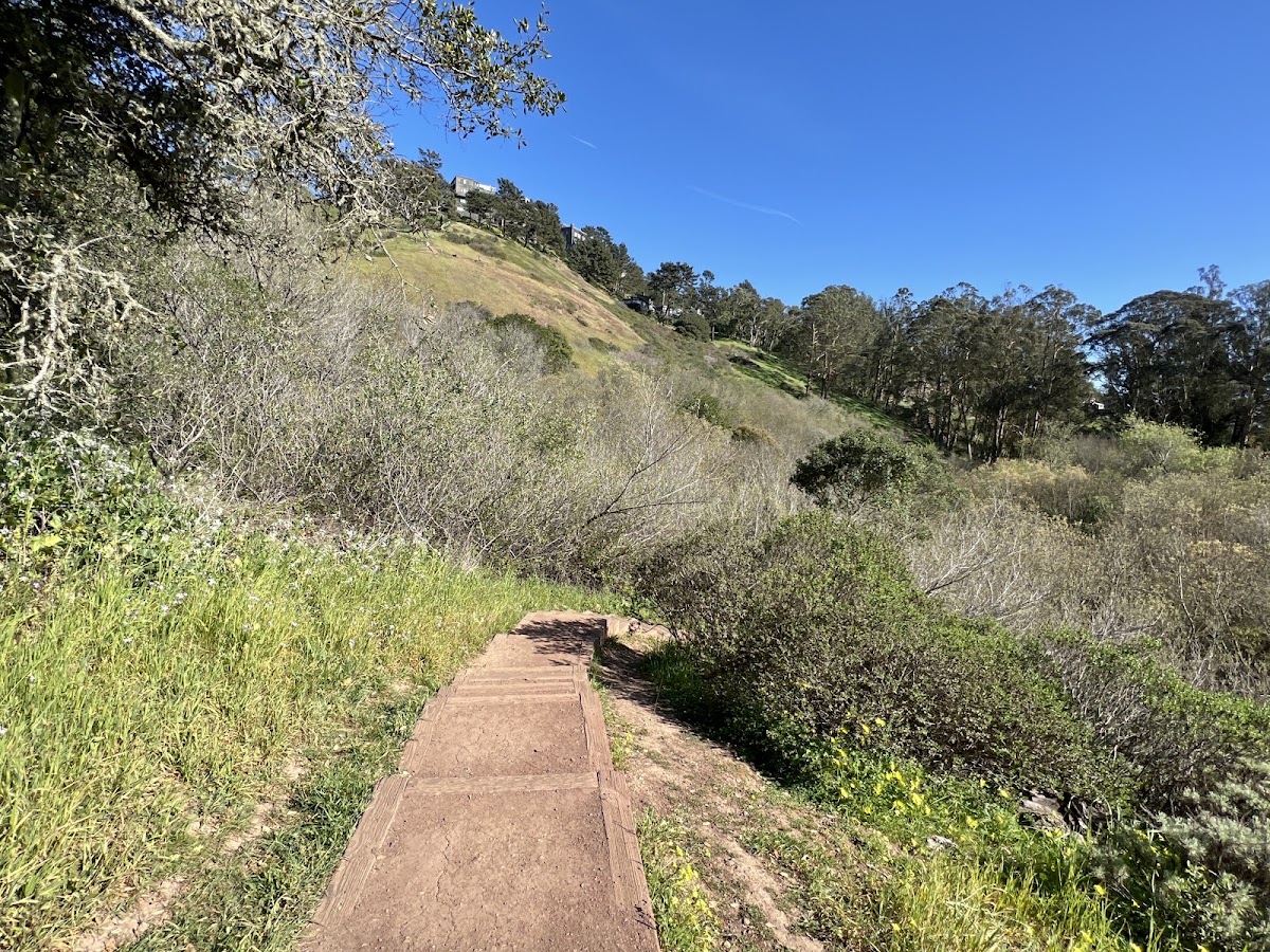 Glen Canyon Park photo 8