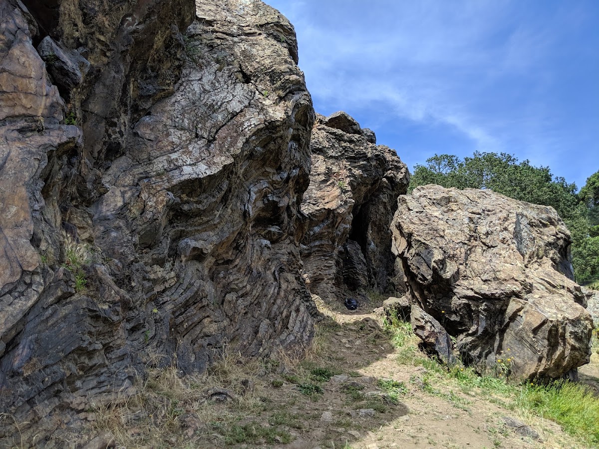Glen Canyon Park photo 9