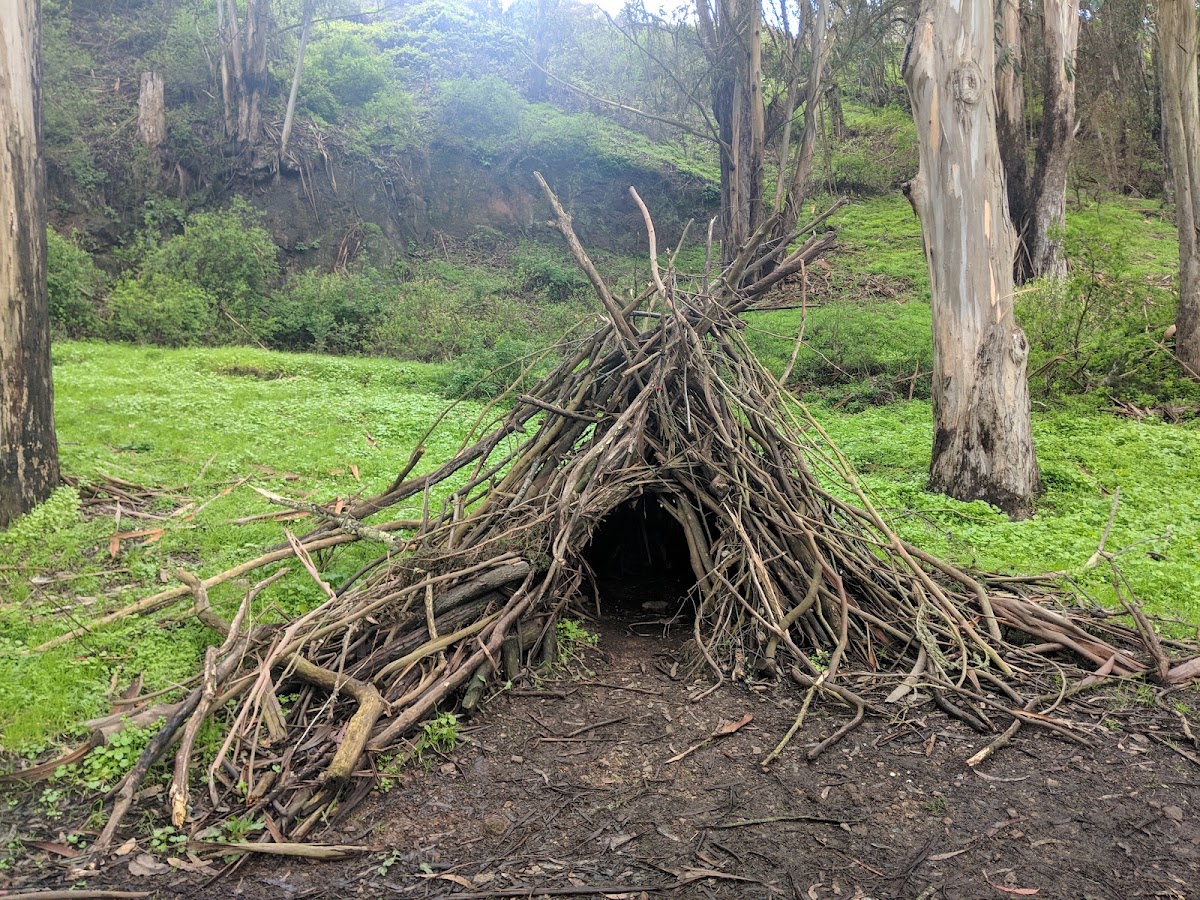 Glen Canyon Park photo 10