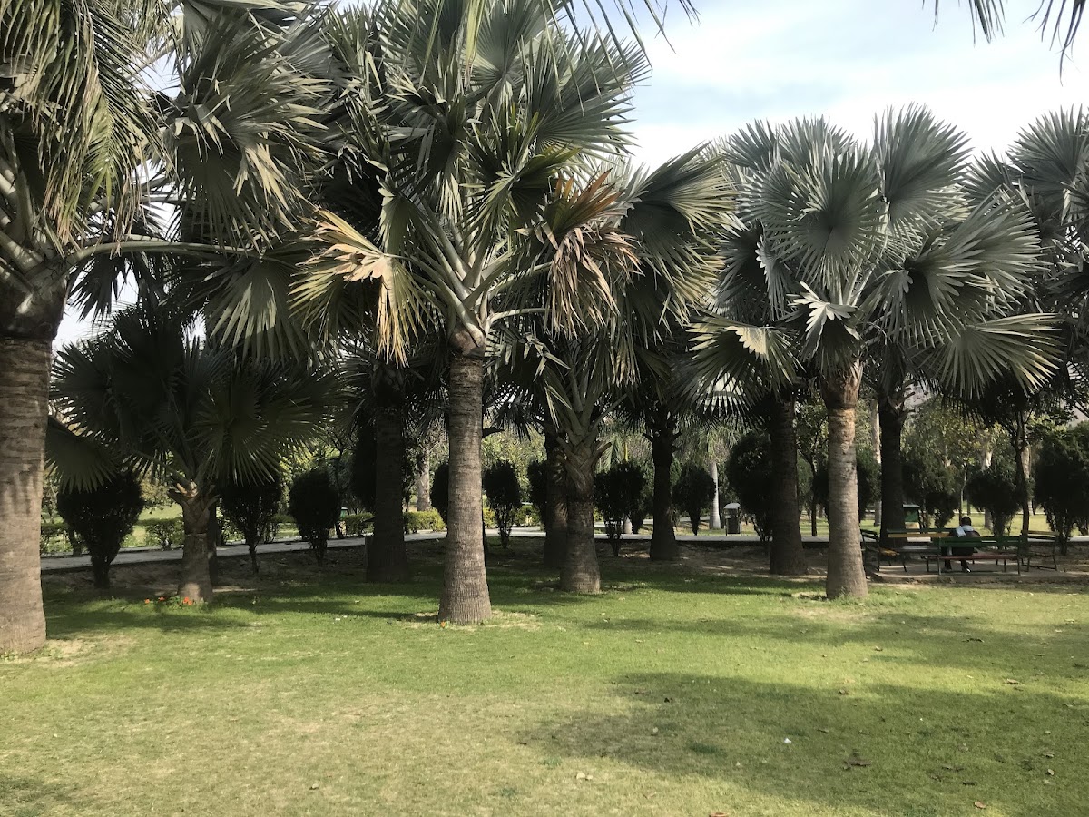 Meghdootam Park photo 8