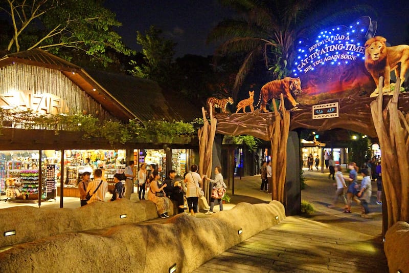 Night Safari photo 2
