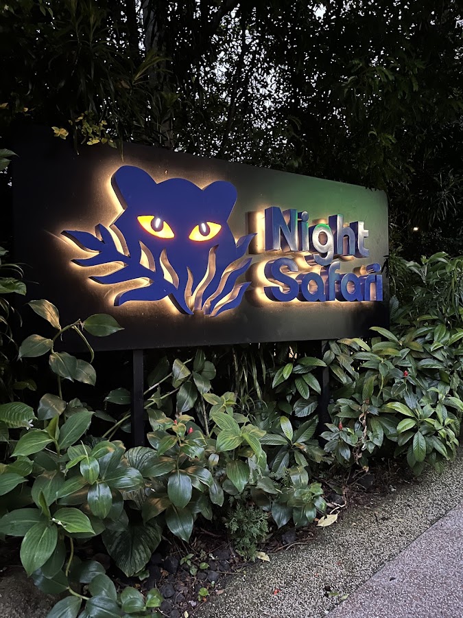 Night Safari photo 3