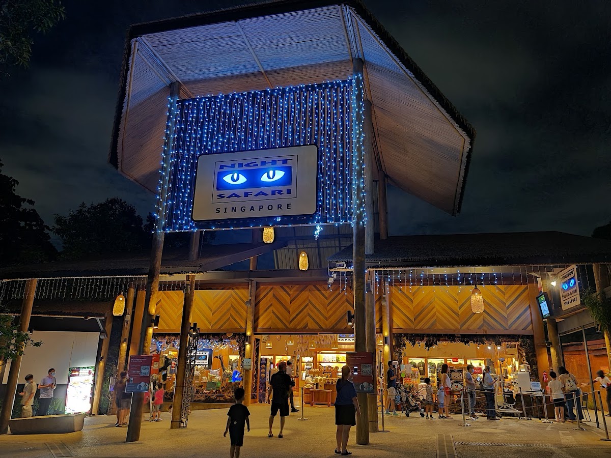 Night Safari photo 4