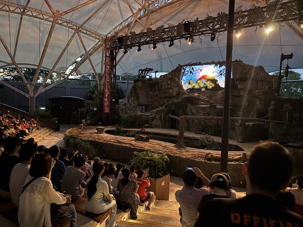 Night Safari photo 5
