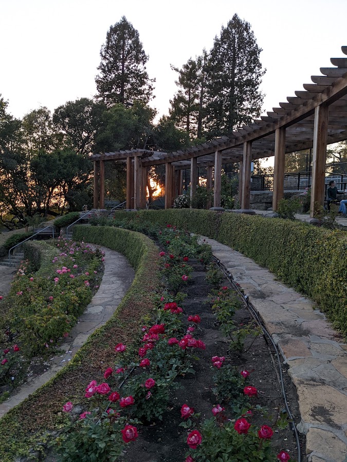 Berkeley Rose Garden photo 3