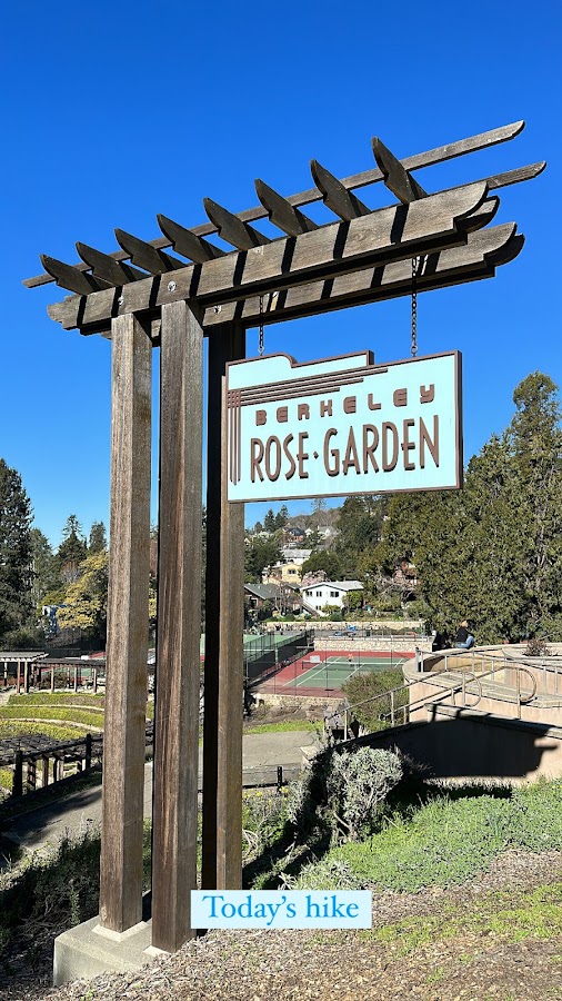 Berkeley Rose Garden photo 5