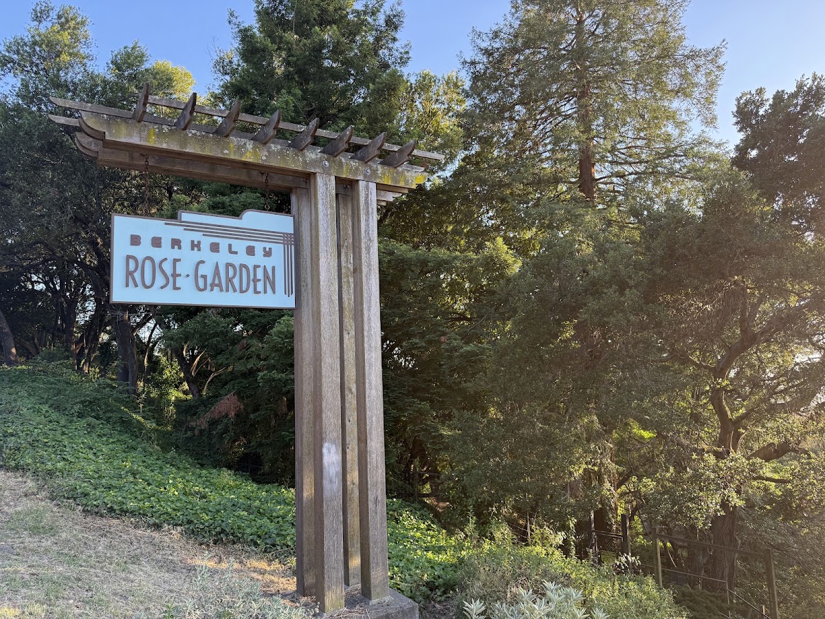Berkeley Rose Garden photo 6