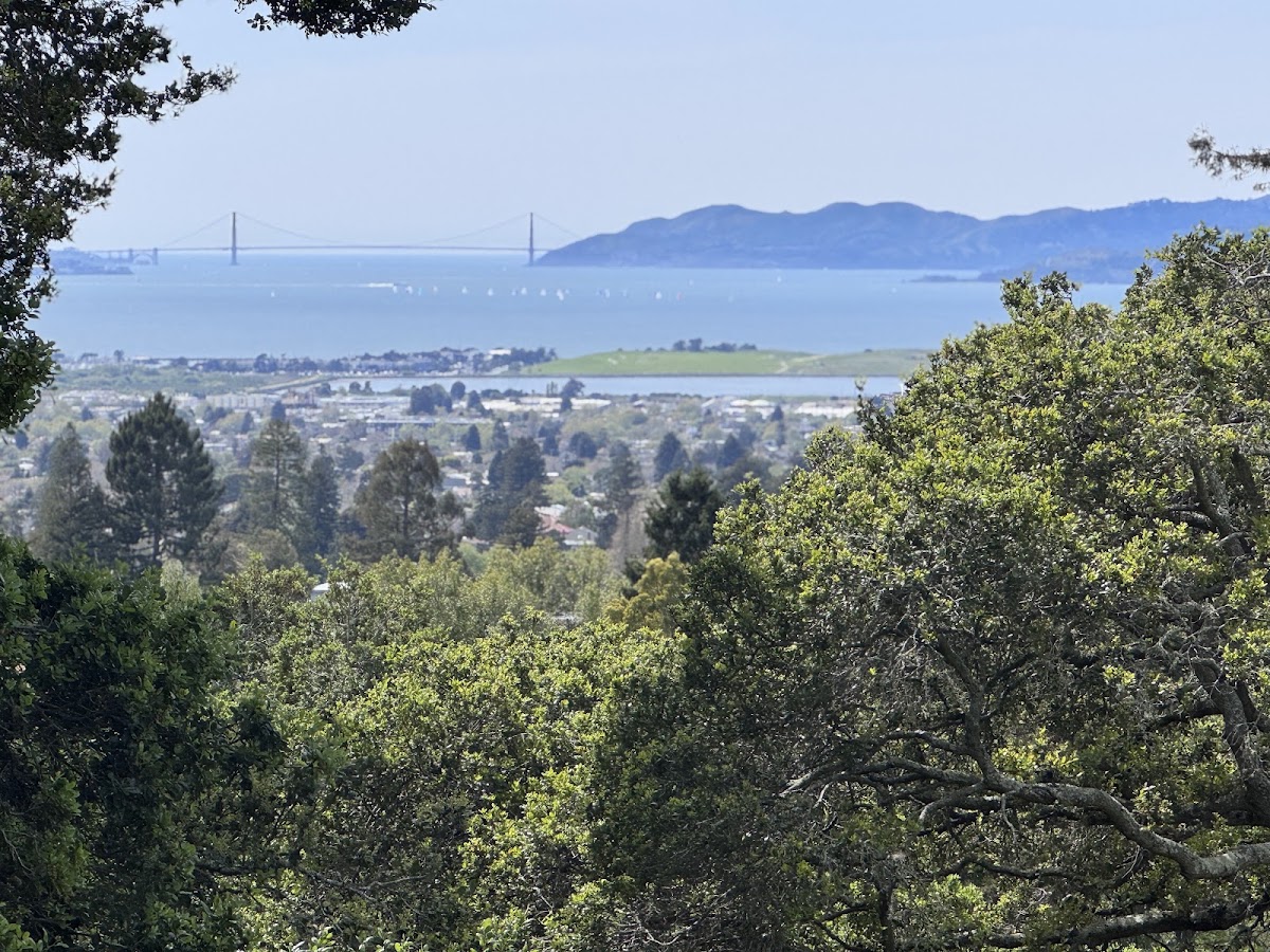 Berkeley Rose Garden photo 7