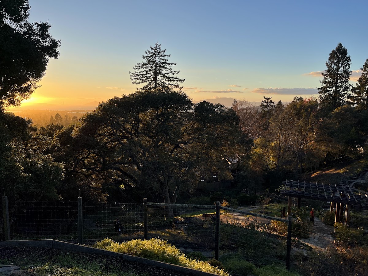 Berkeley Rose Garden photo 8