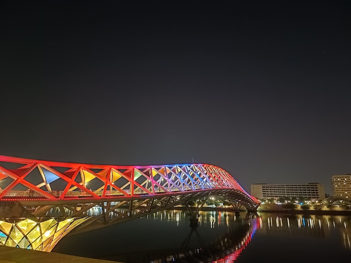 Sabarmati Riverfront Flower Park photo 3
