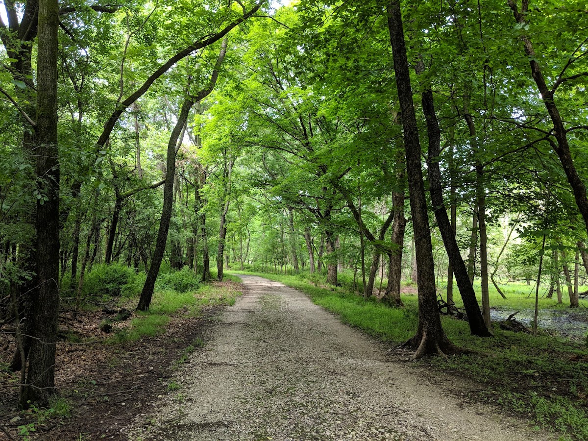 Catherine Chevalier Woods photo 2