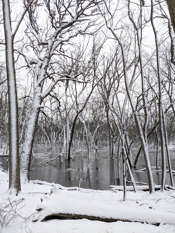 Catherine Chevalier Woods photo 5