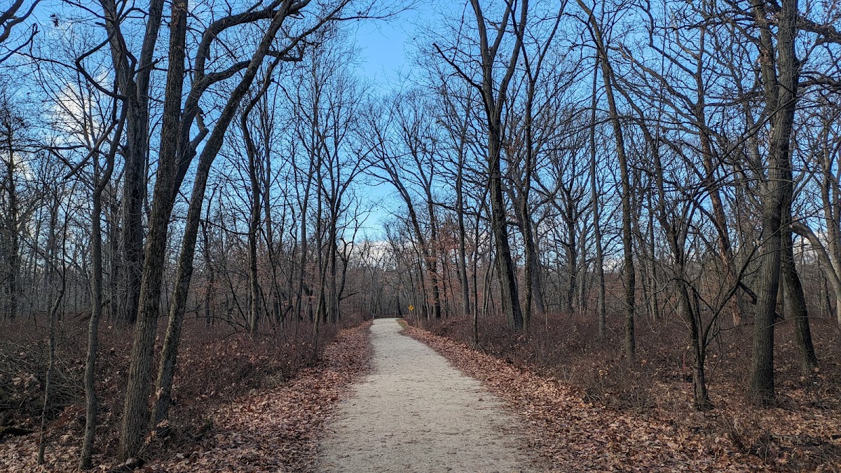 Catherine Chevalier Woods photo 6