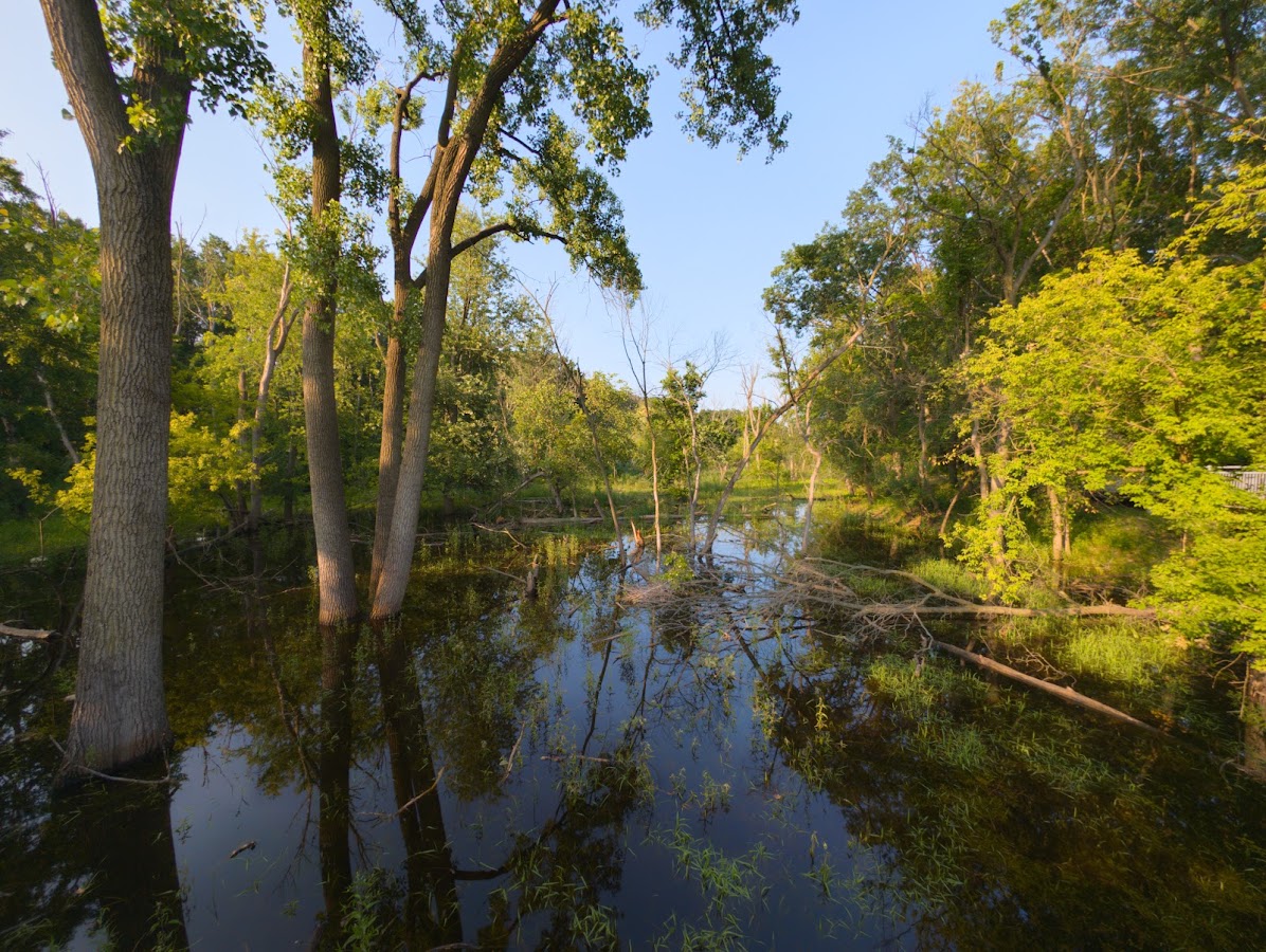 Catherine Chevalier Woods photo 10