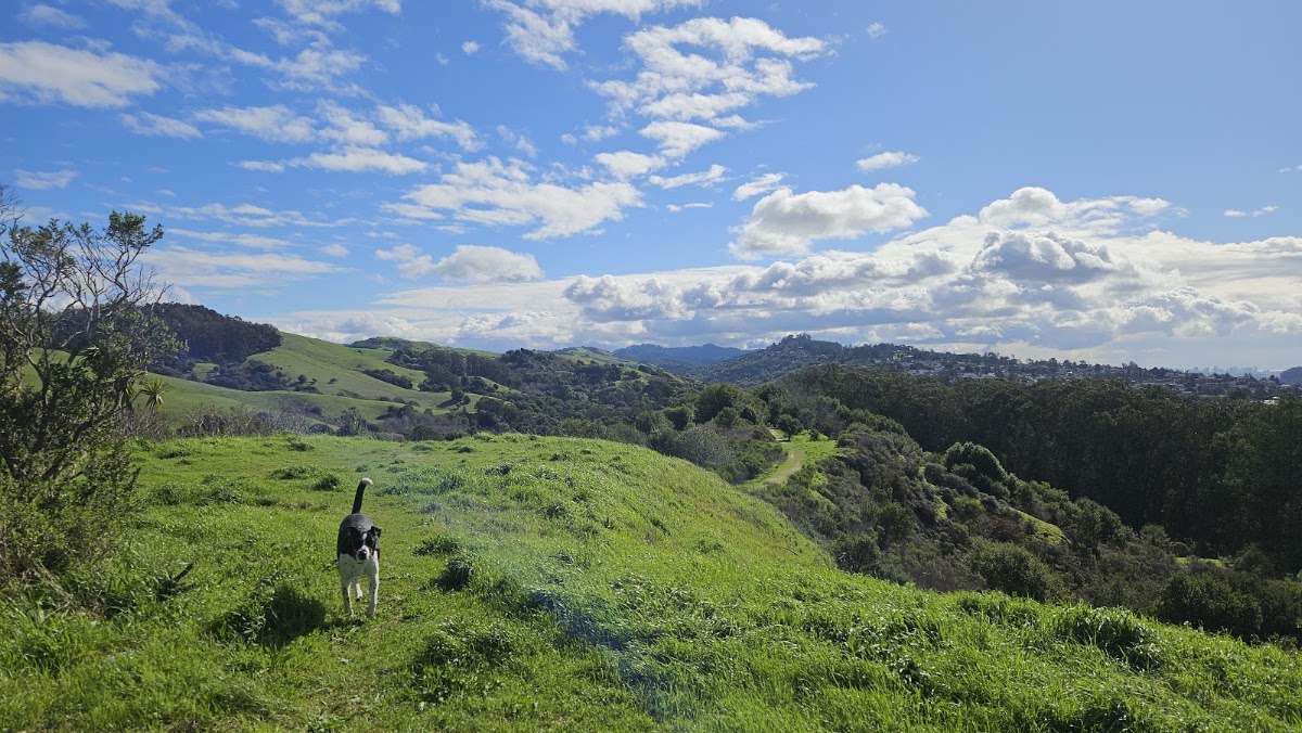 Wildcat Canyon Regional Park
