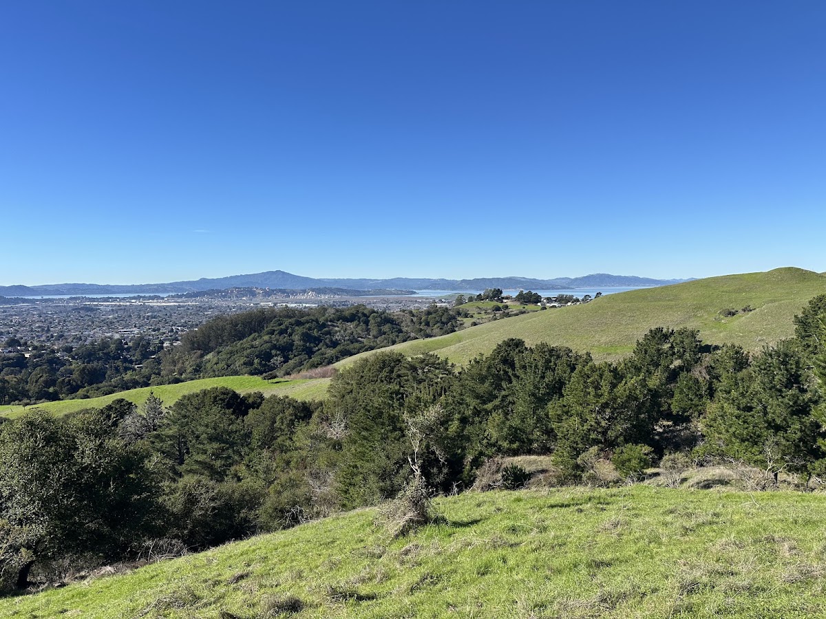 Wildcat Canyon Regional Park photo 6