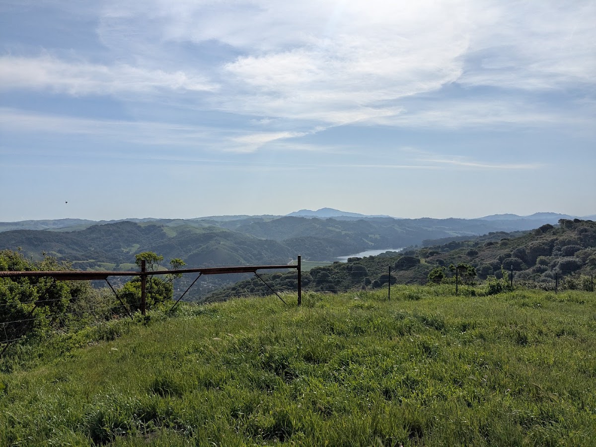 Wildcat Canyon Regional Park photo 7
