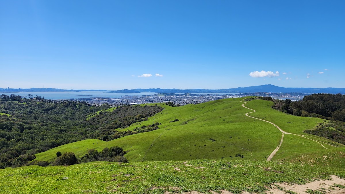 Wildcat Canyon Regional Park photo 8