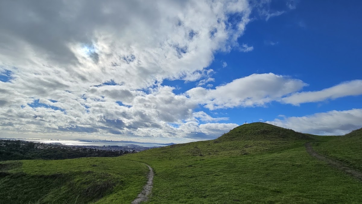 Wildcat Canyon Regional Park photo 9