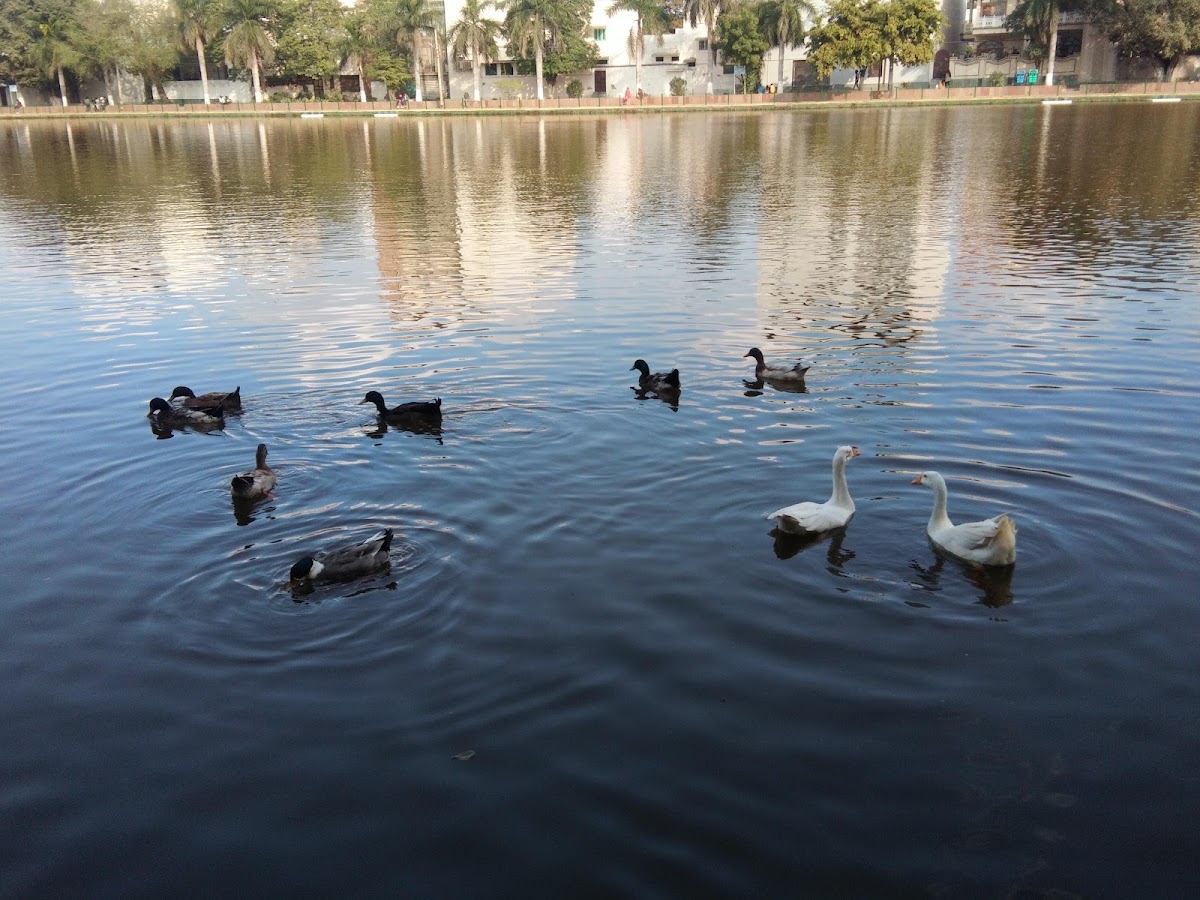 Naini Lake photo 4