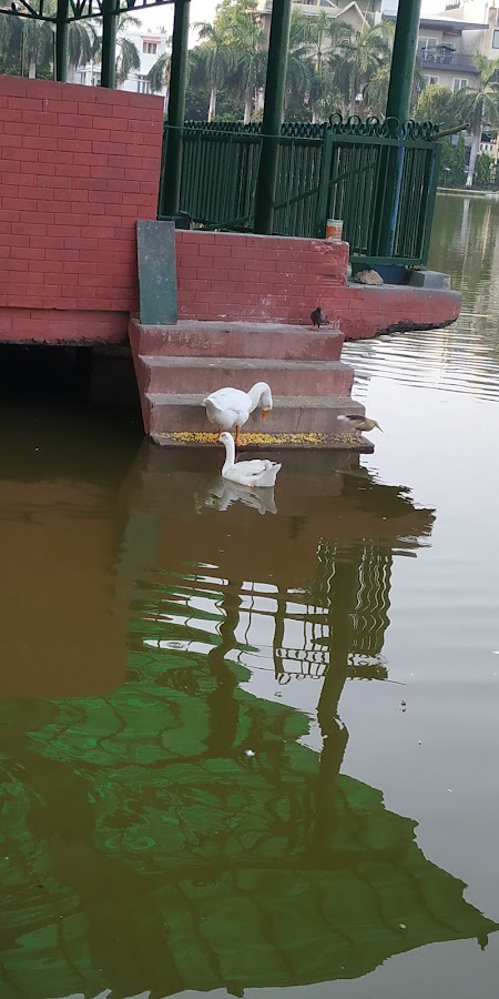 Naini Lake photo 7