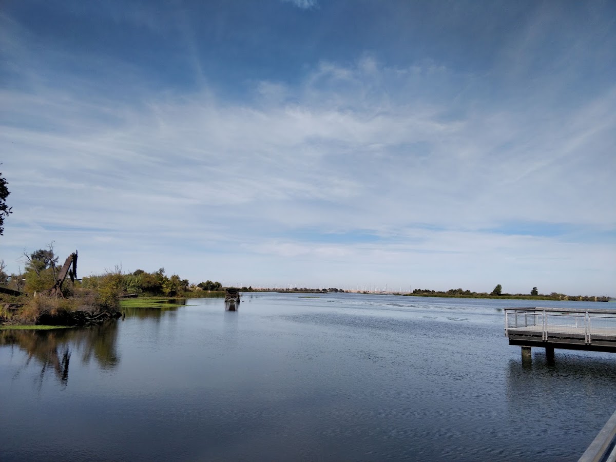 Big Break Regional Shoreline photo 4