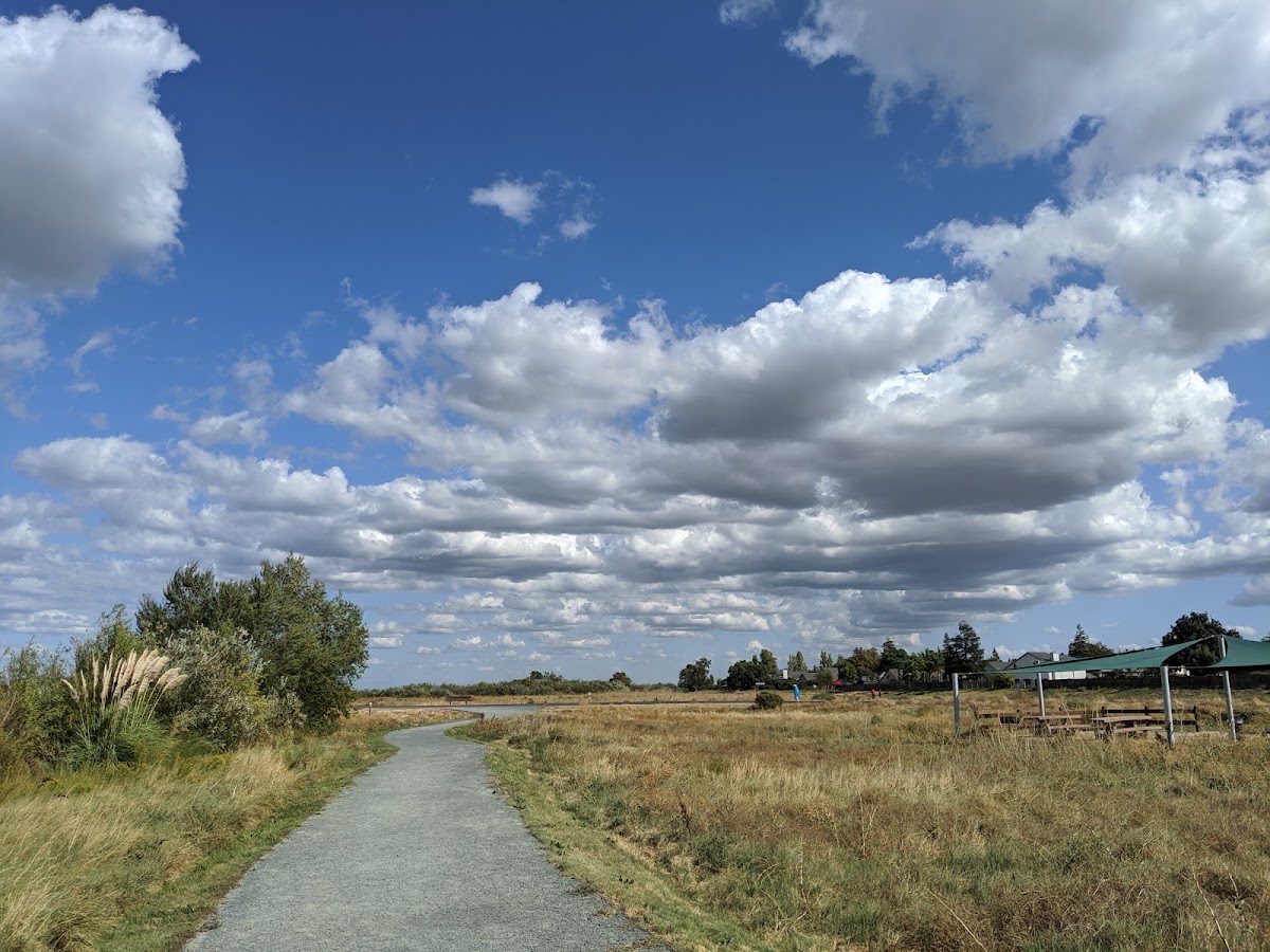 Big Break Regional Shoreline photo 5