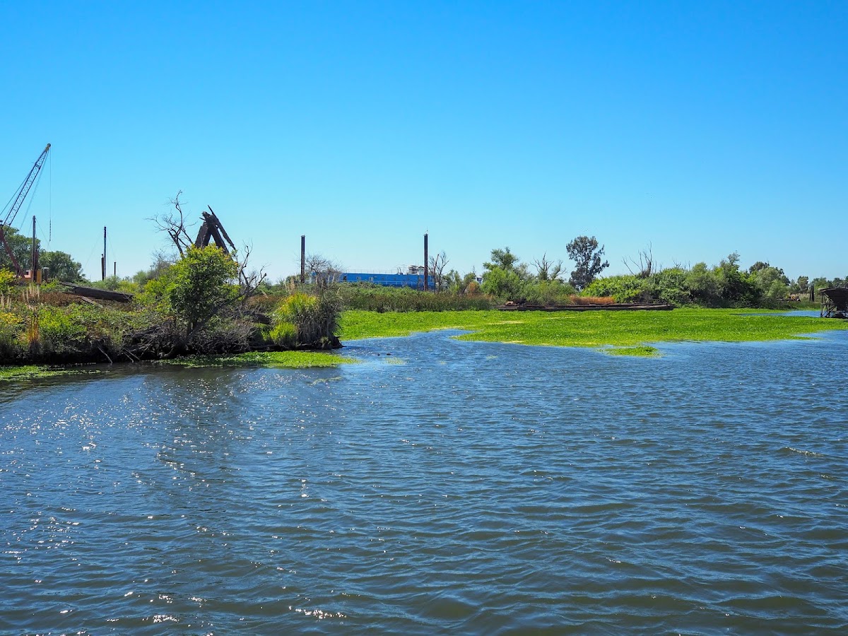 Big Break Regional Shoreline photo 6