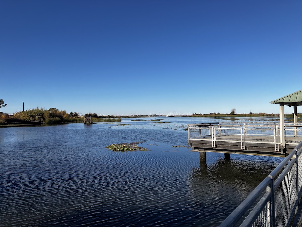 Big Break Regional Shoreline photo 7