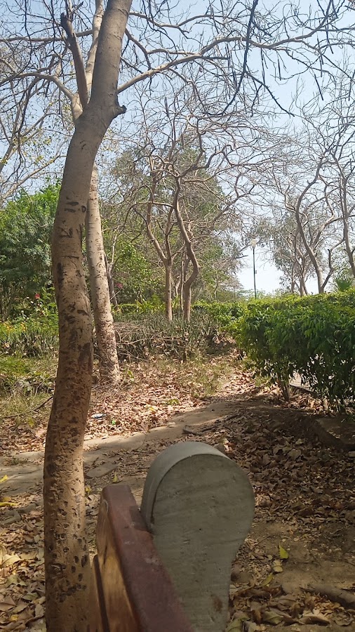 ROCK GARDEN photo 5