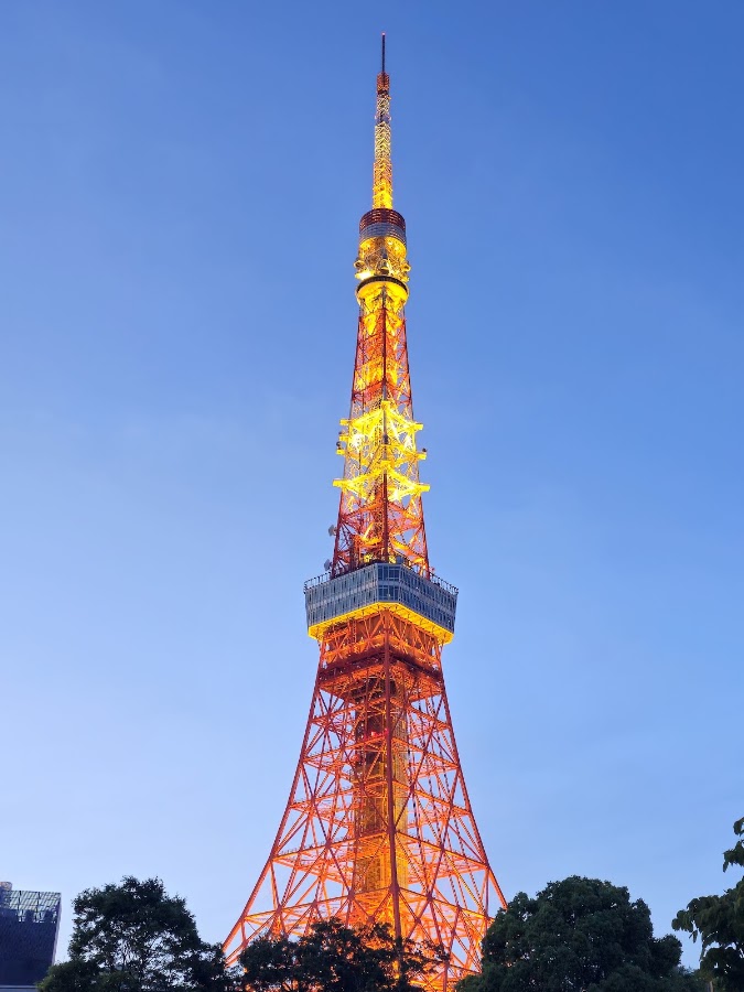Tokyo Tower photo 4
