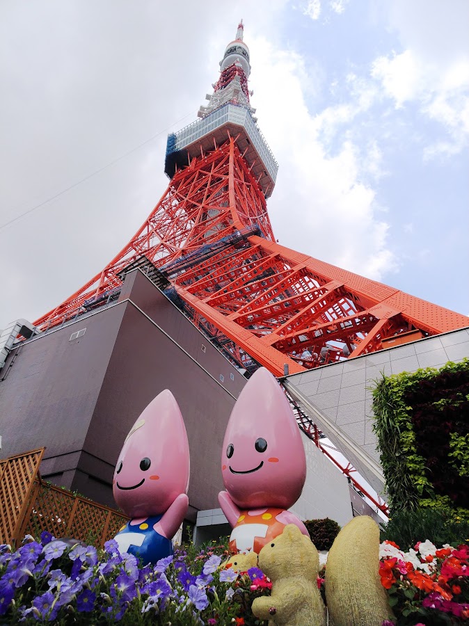 Tokyo Tower photo 5