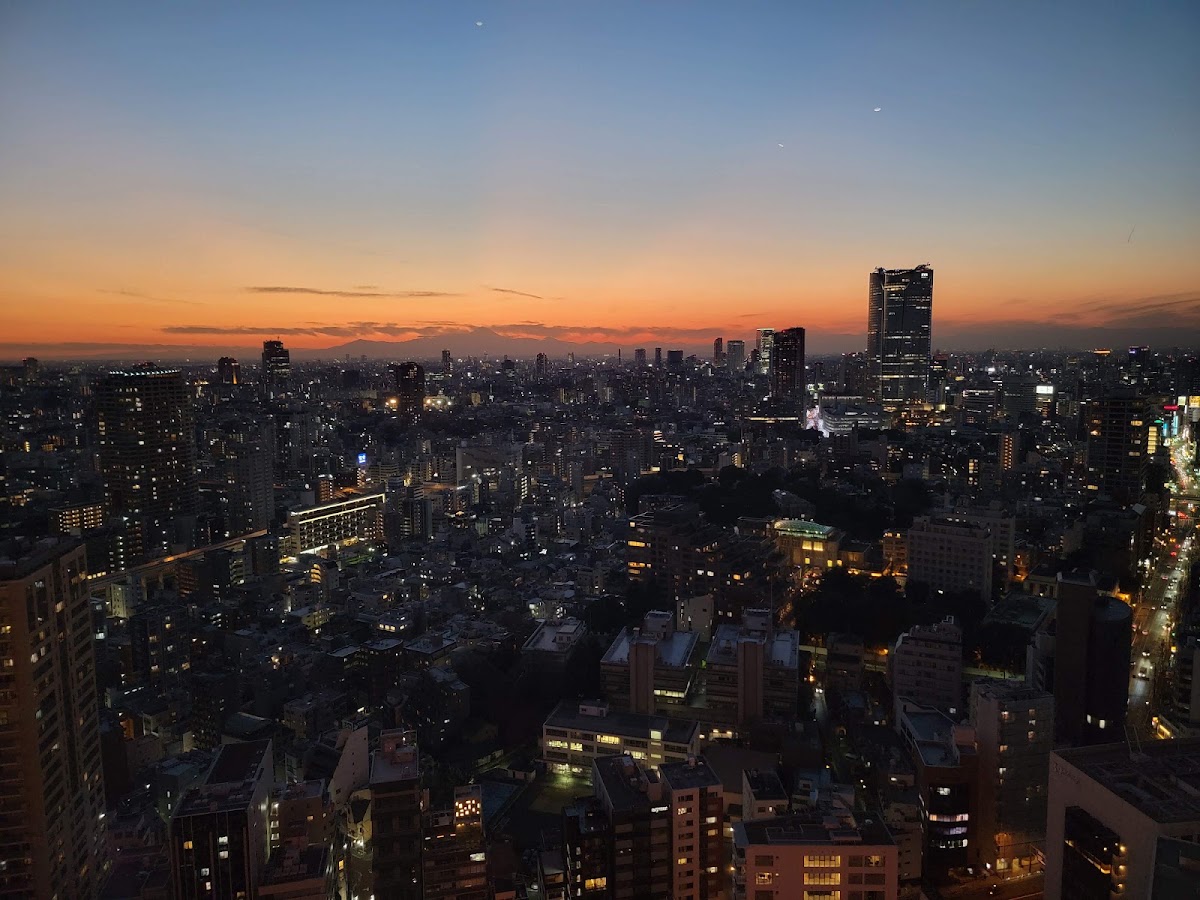 Tokyo Tower photo 6