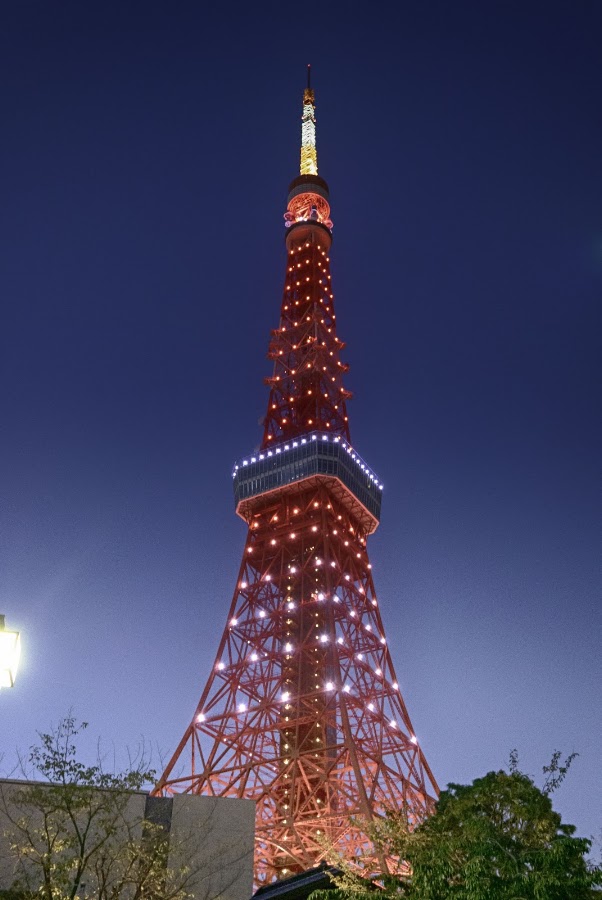 Tokyo Tower photo 8