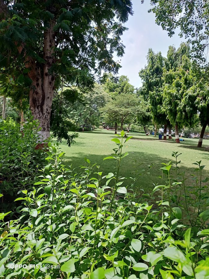 Uttam Nagar Garden photo 5