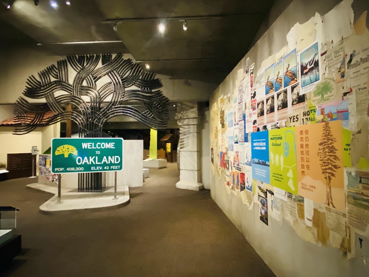 Oakland Museum of California photo 4