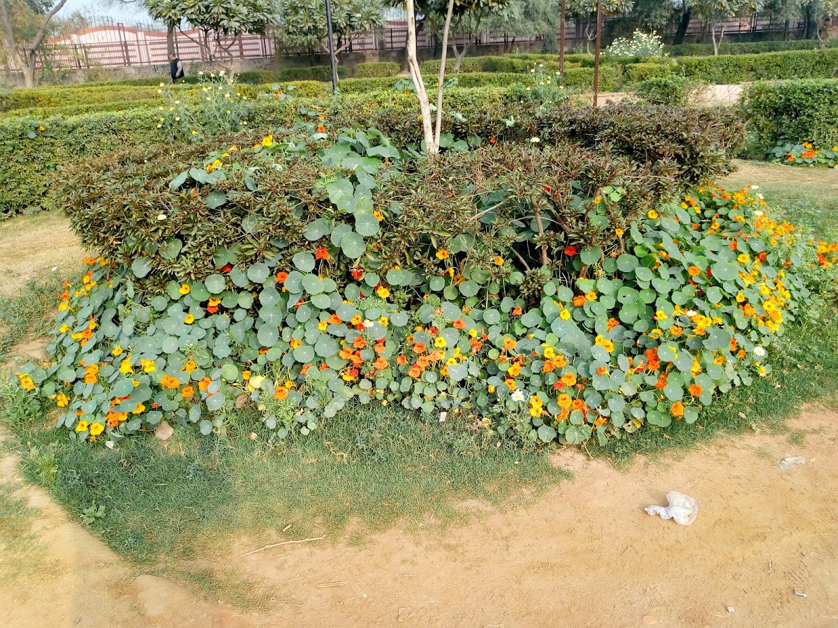 Swarn Jayanti Park photo 9