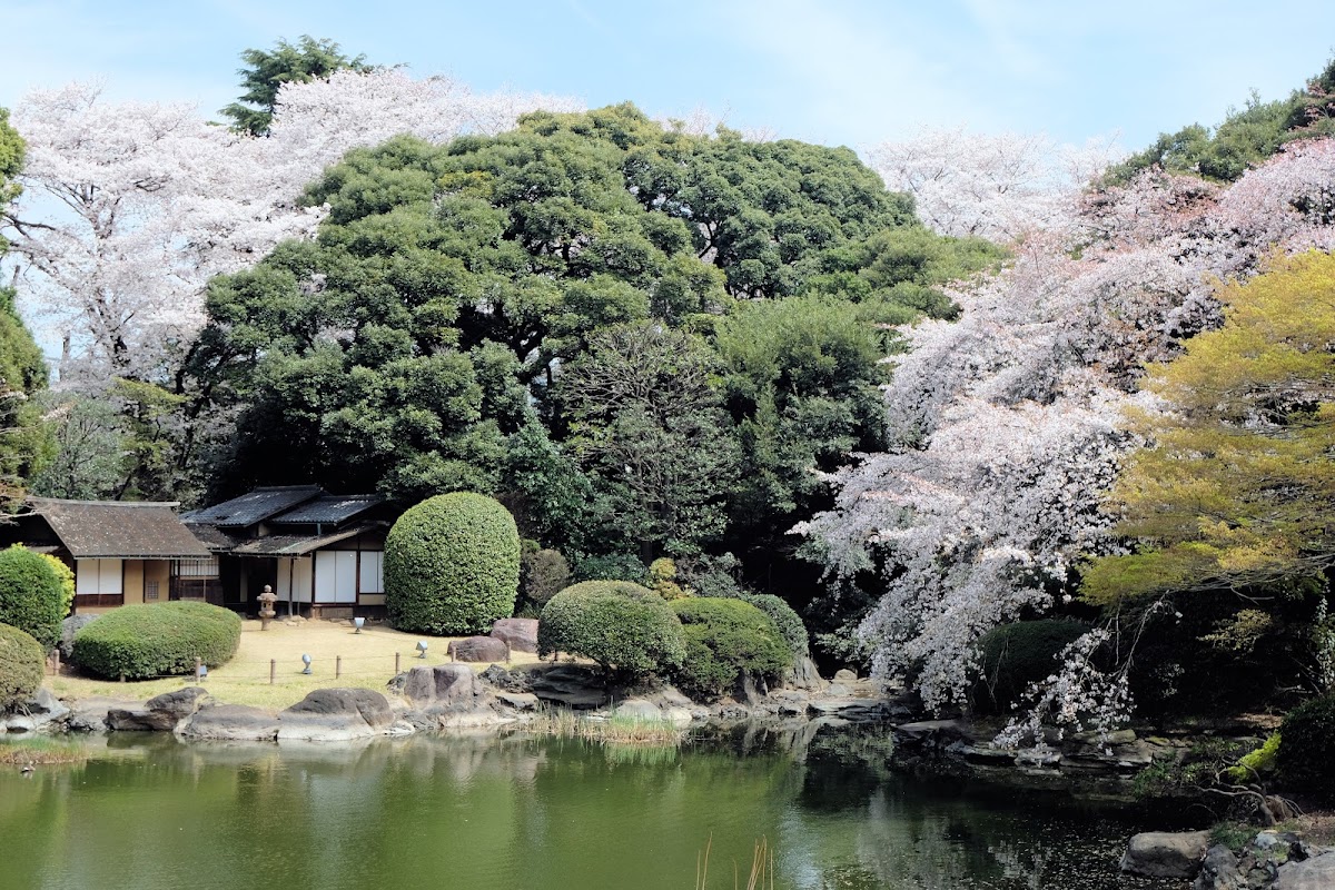 Tokyo National Museum photo 4