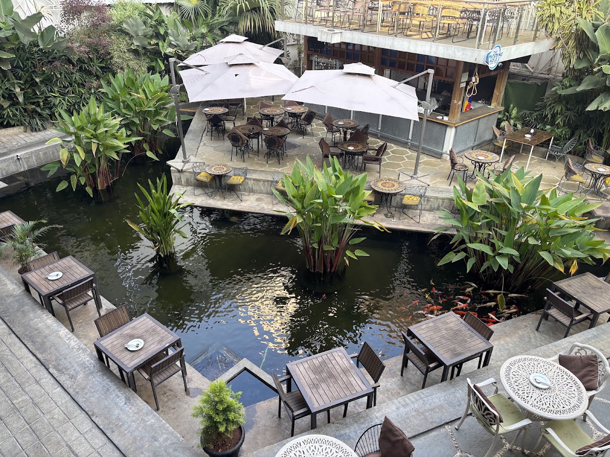 The Watering Hole - RR Nagar photo 6