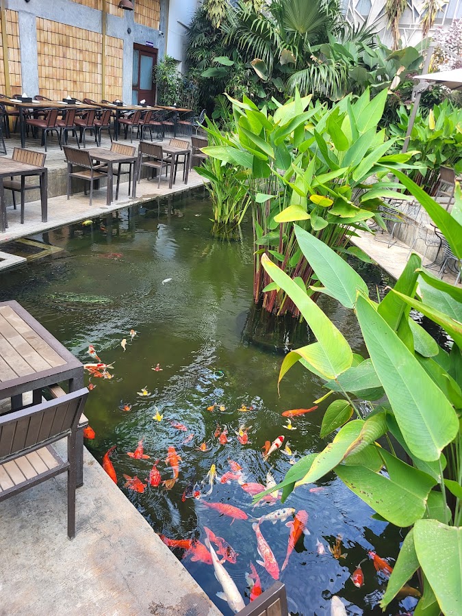 The Watering Hole - RR Nagar photo 8