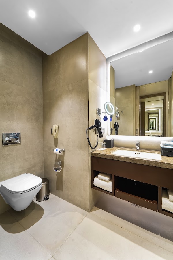 Radisson Blu Towers Kaushambi Delhi NCR photo 4