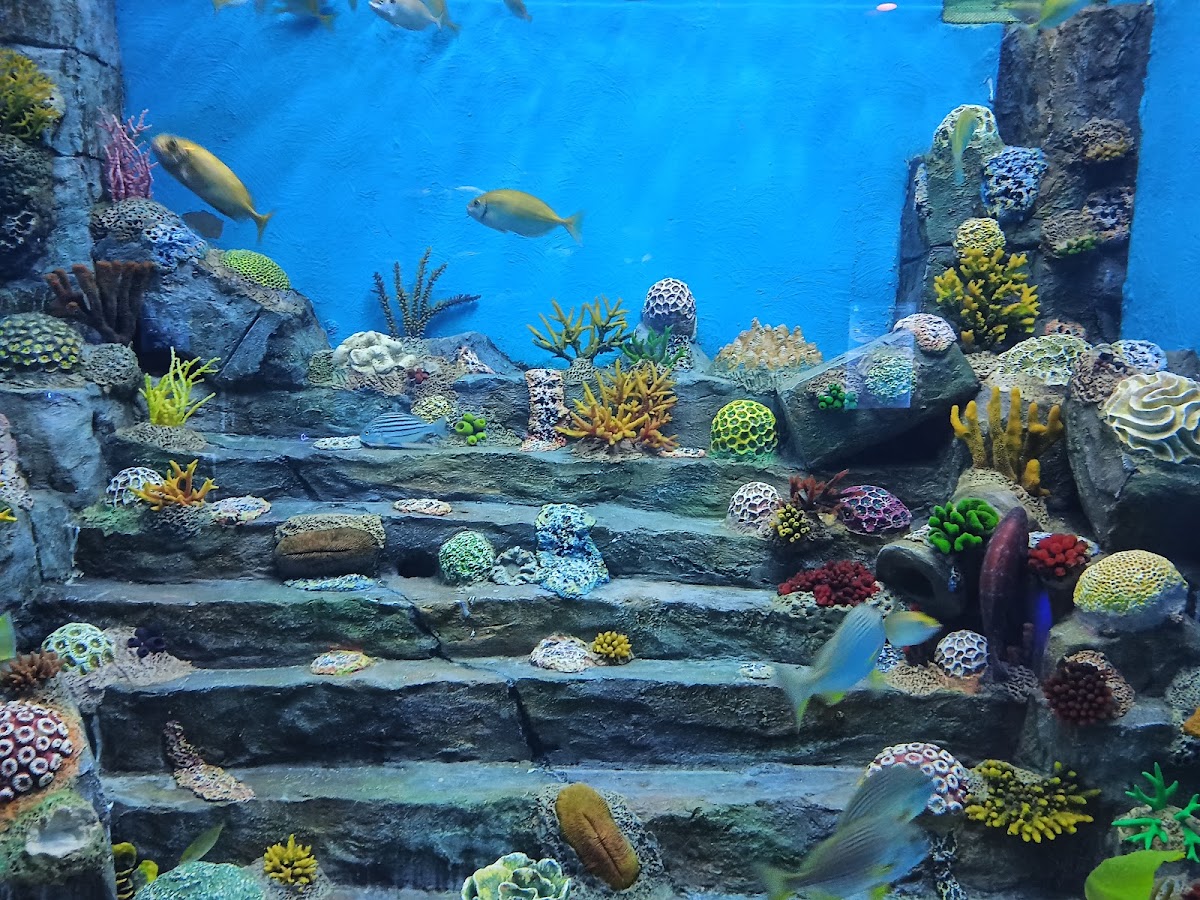 Science City Ahmedabad photo 6