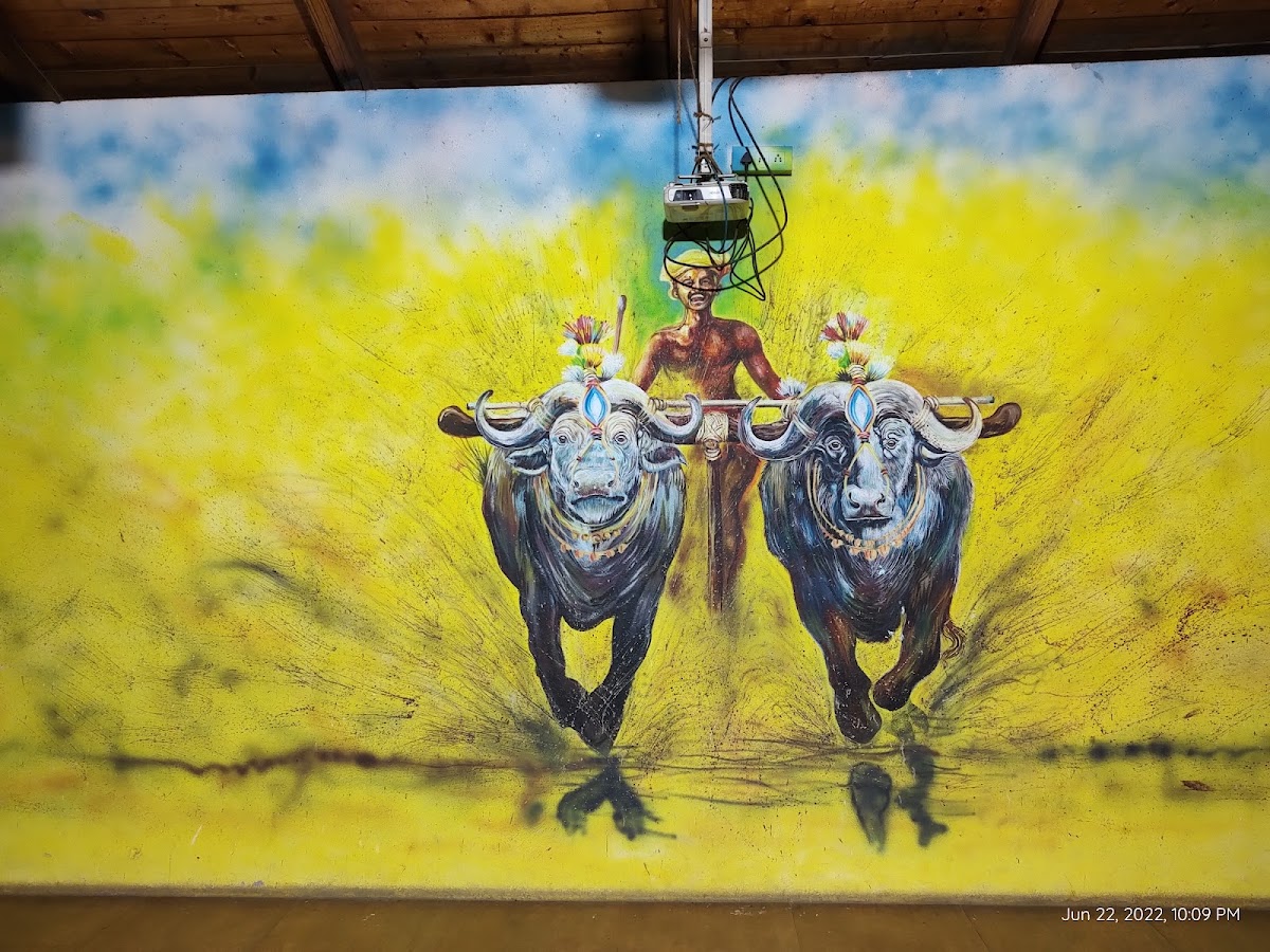 Veeru's The Village Restaurant photo 10