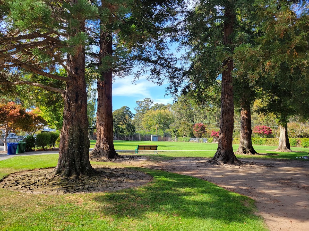 Village Park photo 2
